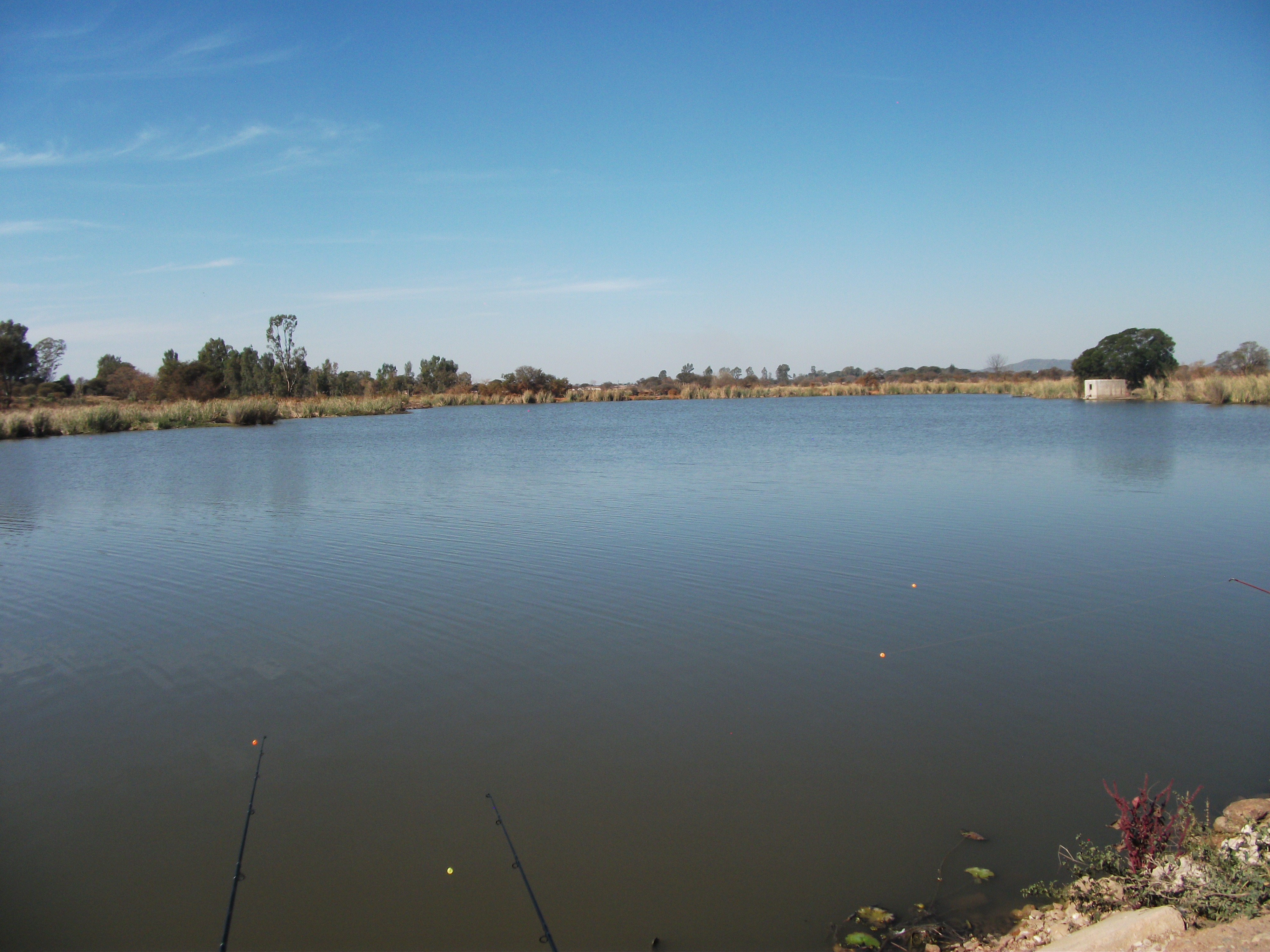Bass Bay omgewing