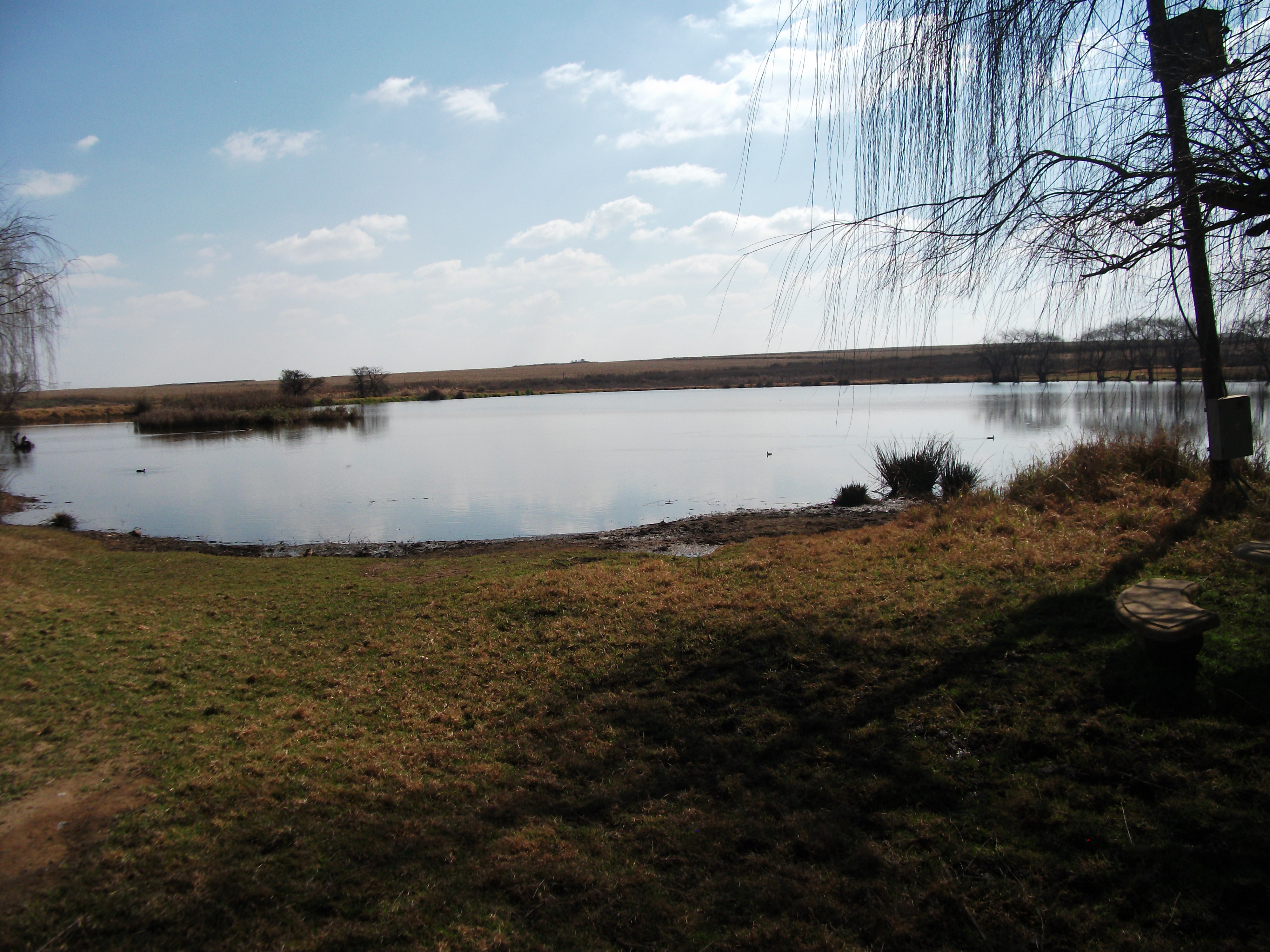 Suater se dam