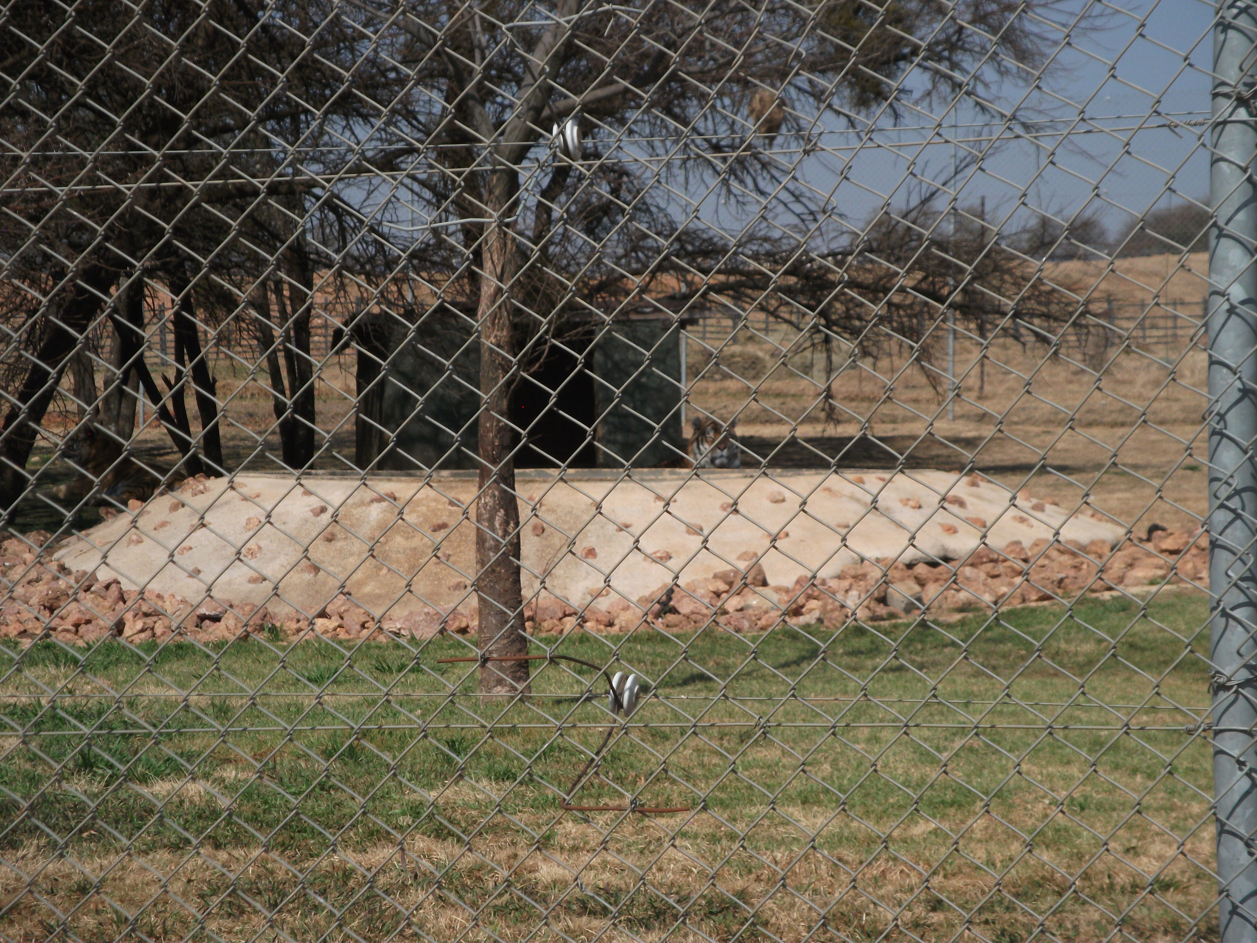Tiere voor huisie